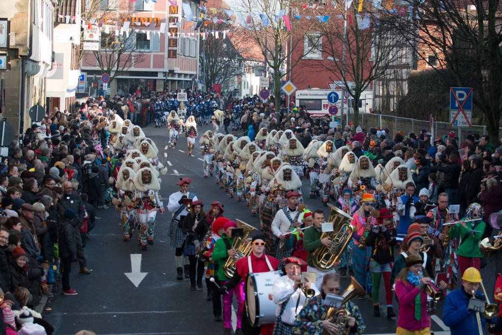 20150118 Narrentreffen Sachsenheim2